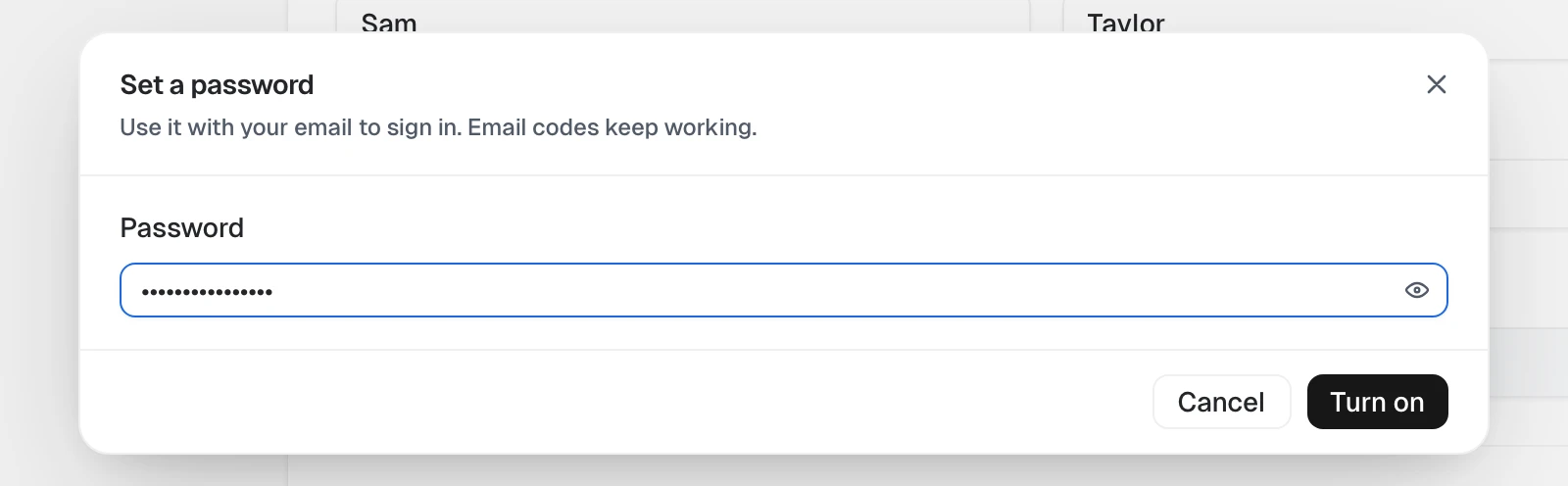 The Set a password dialog, with a password entered and the Turn on button